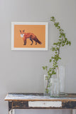 Poster: Fox, by Discontinued products
