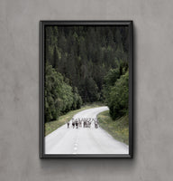 Poster: Reindeer road, by EMELIEmaria