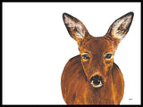 Poster: Roe Deer, by Stefanie Jegerings
