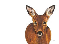 Poster: Roe Deer, by Stefanie Jegerings