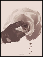 Poster: Drops of roses, by Discontinued products