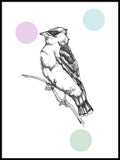 Poster: Waxwing, by Discontinued products