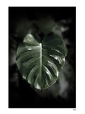Poster: SINGAPORE - Don't leaf me, by A chapter 5 - Caro-lines