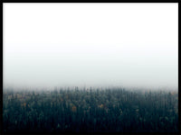 Poster: Forests in fog II, by EMELIEmaria