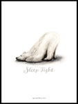 Poster: Sleep Tight (Polar bear), by Ekkoform illustrations