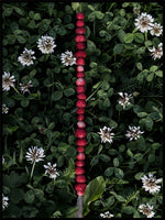 Poster: Wild strawberries, by EMELIEmaria