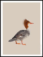 Poster: Goosander, by Discontinued products