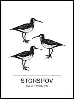 Poster: Storspov the official animals of västerbotten, Sweden., by Paperago