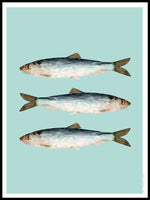 Poster: Baltic Herring, by Discontinued products