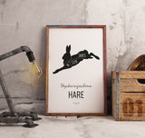 Poster: Cutting chart, Hare, by Discontinued products