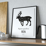 Poster: Cutting chart, Deer, by Discontinued products