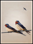 Poster: Swallows, by Lisa Hult Sandgren