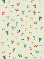 Poster: Swedish Forest, by Discontinued products