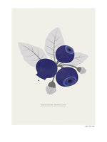 Poster: Swedish berries, blueberries, by Fröken Fräken Form