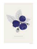 Poster: Swedish berries, blueberries, by Fröken Fräken Form