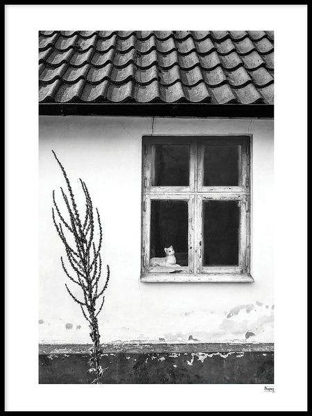 Poster: FALSTERBONÄSET - The Cat in the window, by A chapter 5 - Caro-lines