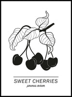 Poster: Sweet Cherries, by Paperago