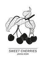 Poster: Sweet Cherries, by Paperago