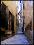 Poster: The Alley, by Linda Forsberg