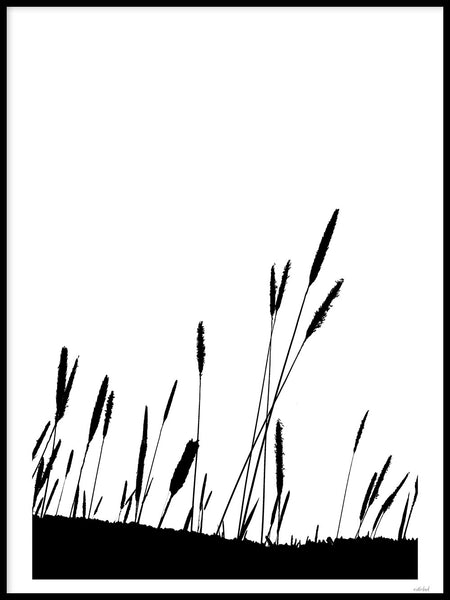 Poster: Timothy Grass, by Discontinued products