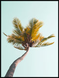 Poster: Tropical 7, by Susanne Snaar