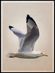 Poster: Gull, by Lisa Hult Sandgren