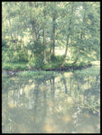 Poster: Water reflections, by Discontinued products