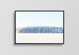 Poster: Winter Forest, by EMELIEmaria