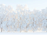 Poster: Winter tree, by EMELIEmaria