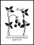 Poster: Wild Strawberries, by Paperago