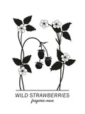 Poster: Wild Strawberries, by Paperago