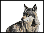 Poster: Wolf, by Stefanie Jegerings