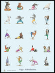 Poster: Yoga Animalsana, by Discontinued products
