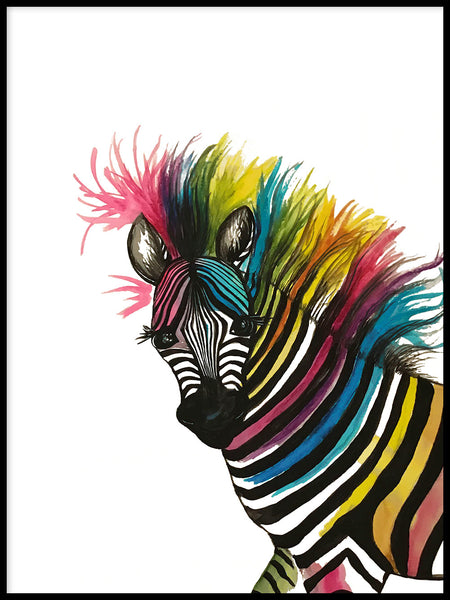 Poster: Zebra in watercolor, by Lindblom of Sweden